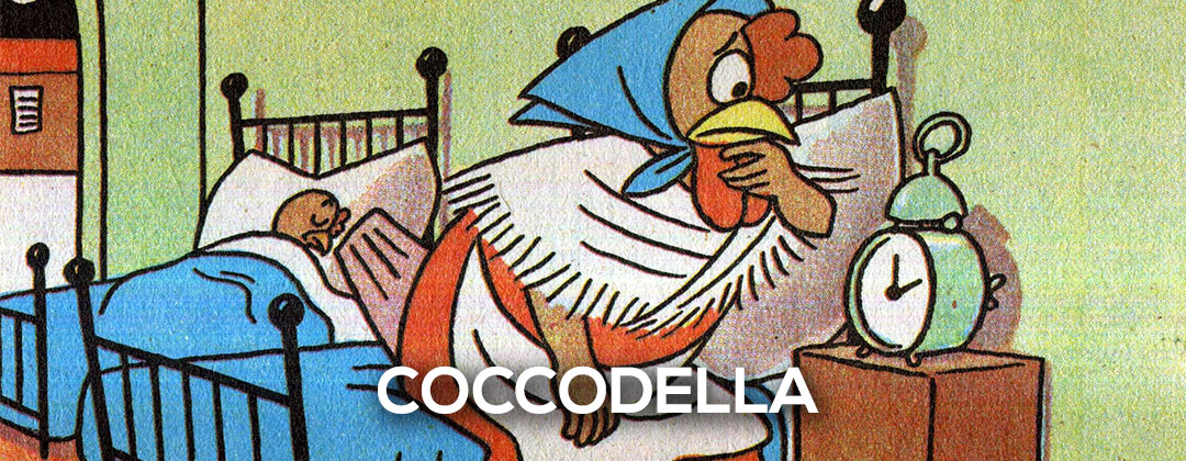 COCCODELLA